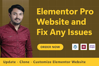 fix elementor issues, create wordpress website with elementor pro