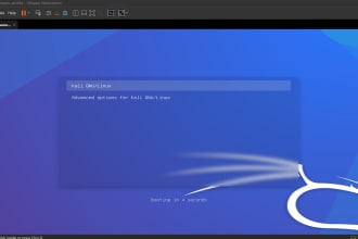 install and configure kali linux as a virtual machine