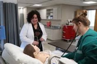 fully do capella flexpath nursing rn,bsn,msn,pmhnp in 6 weeks