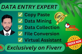 do proper data entry copy past and web research  expert