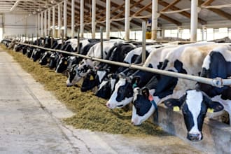 write cattle farming, dairy farming business plan