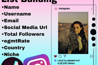 find best tiktok and instagram influencers for influencer marketing