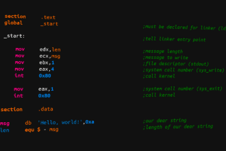 do mips masm nasm assembly languages projects