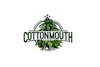 do trendy premium versatile luxury cannabis logo design with a copyright