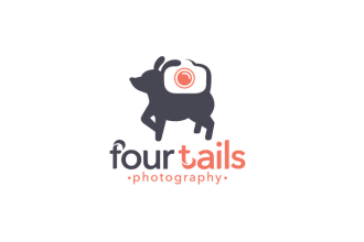 do trendy premium versatile luxury camera logo design with a copyright