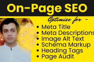 do on page SEO, schema markup, image alt text,h1, page audit