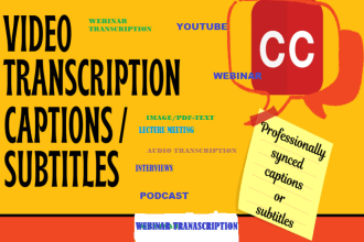 do verbatim, audio and video transcriptions, interviews