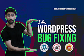 be your wordpress bug fixing expert