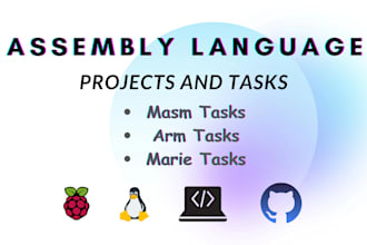 do assembly language, mips and computer architecture project