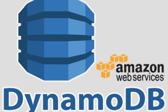 work on AWS dynamodb queries