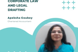 do US business corporate law and legal drafting