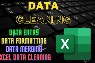 clean, organize and merge excel or CSV data