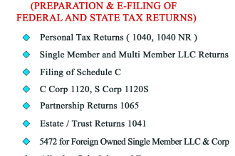 prepare and file 1040, 1120s, 1120, 1065, US individual and corporate tax