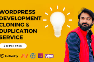 design and develop a stunning wordpress website