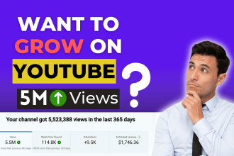 professionally grow your youtube channel as a dedicated yt growth manager