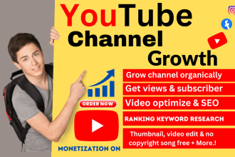do organic youtube channel promotion and growth for monetization