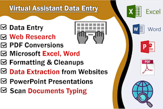 do data entry excel, word, and database editing