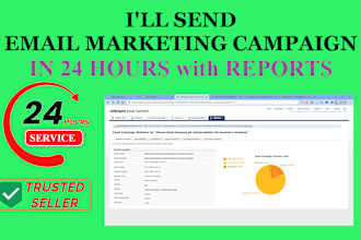 send email marketing campaign for your company in 24 hour