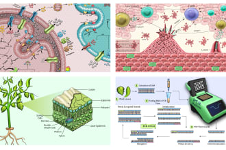 create scientific illustrations, figures and graphs
