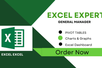 do excel graphs, charts, pivot tables and excel dashboard