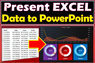 analyze excel data and present in powerpoint professionally
