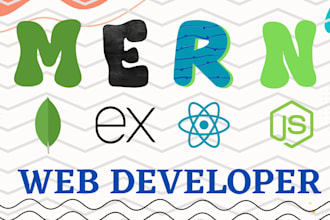 be mern stack developer or full stack developer or web developer