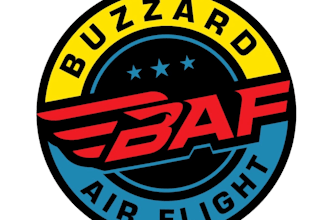 design a professional modern pilot logo