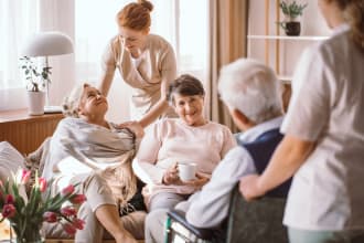 write investor ready business plan for assisted living, home care, adult care