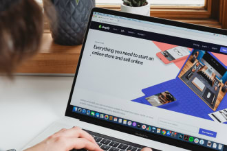 professionally design or redesign your godaddy website