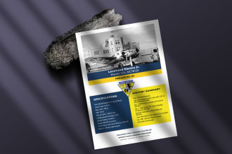 do amazing flyer design or brochure for your business