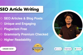 do SEO article writing for your website
