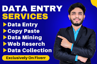do excel data entry, web research, copy paste, and typing work job