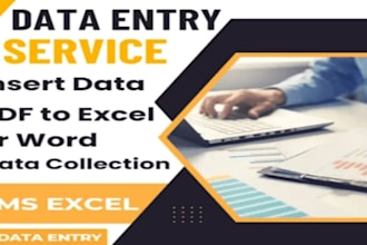 be your virtual assistant for data entry and website research work