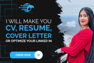 give professional resume maker and tech CV writing service