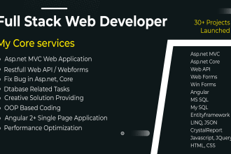 be your full stack dot net core, asp net angular and react app developer