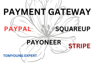 create and integrate payment gateway to your store and webs