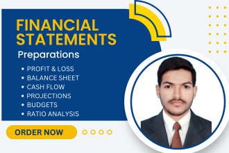 prepare financial statements, profit and loss and balance sheet