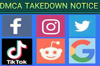 takedown harassing defaming report to tiktok,yt,ig,fb,google,reddit,x,by dmca