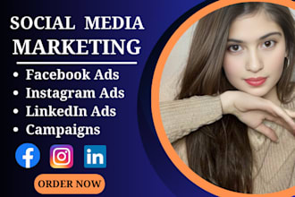 setup, run facebook ad, instagram and linkedin ad campaigns