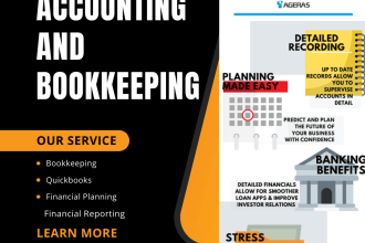 manage accounting, bookkeeping, financials, balance sheet