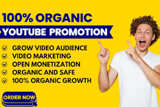 do super fast organic youtube video promotion