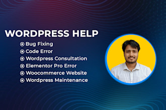 wordpress help for issue bug critical error in wp website