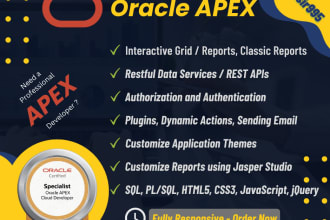 develop and customize oracle apex application