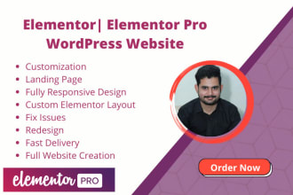 create a professional website using elementor wp elementor