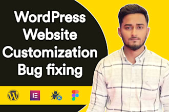 customize wordpress website or fix issues