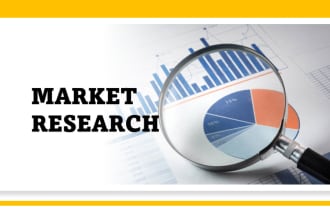 do market research, swot competitor analysis, business research, proposals, plan