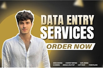 do data entry, typing, copy past, web scraping, merge PDF