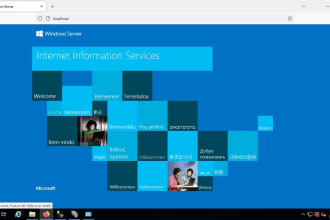 install, configure and fix any issue on iis windows server