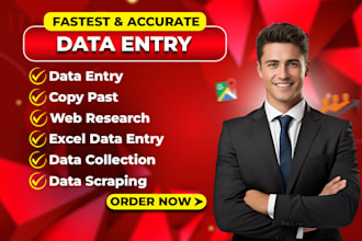 data entry, copy paste, web research, web scraping, virtual assistant expert