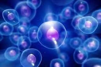 do cellular healing for you